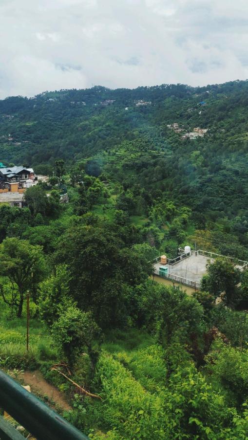 Nature View Villa Kasauli Exterior foto